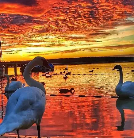 Alojamento de Turismo Selvagem W Boszkowie Boszkowo