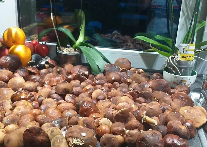 W Boszkowie Деревянный коттедж