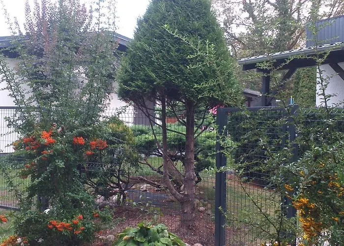 Деревянный коттедж W Boszkowie *